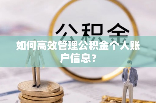 武穴如何高效管理公积金个人账户信息？